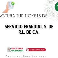Logo de SERVICIO ERANDINI